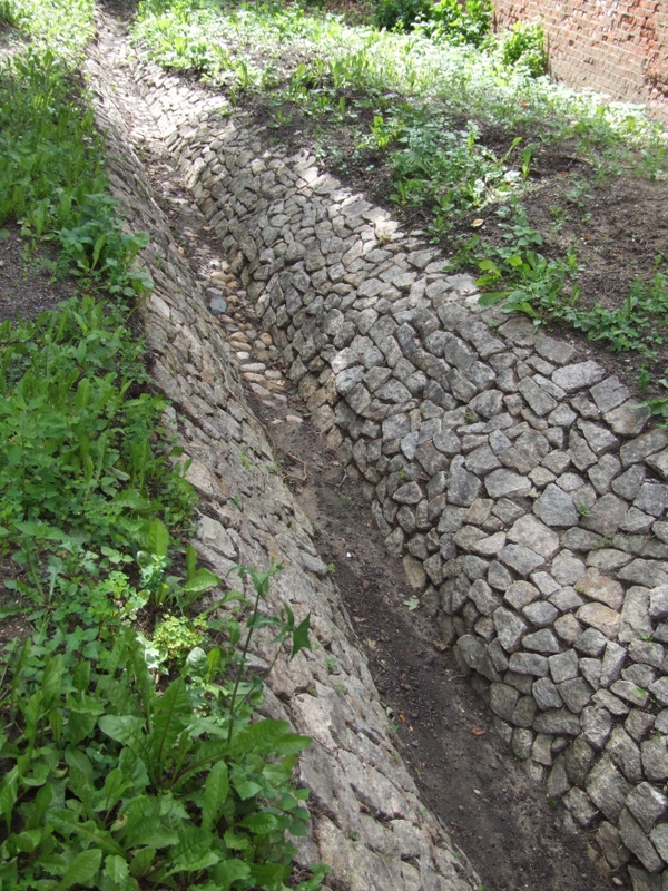 Aneta Wyrwas i Adam Tarkowski