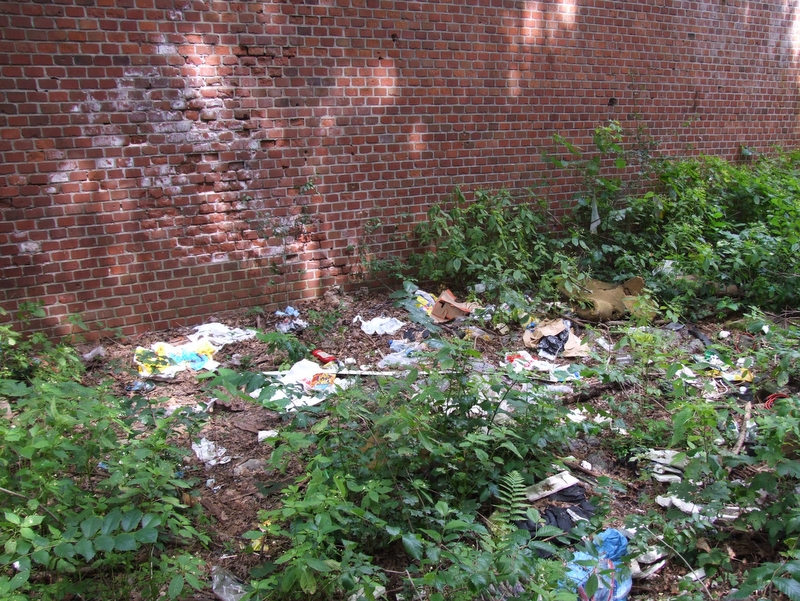 Aneta Wyrwas i Adam Tarkowski