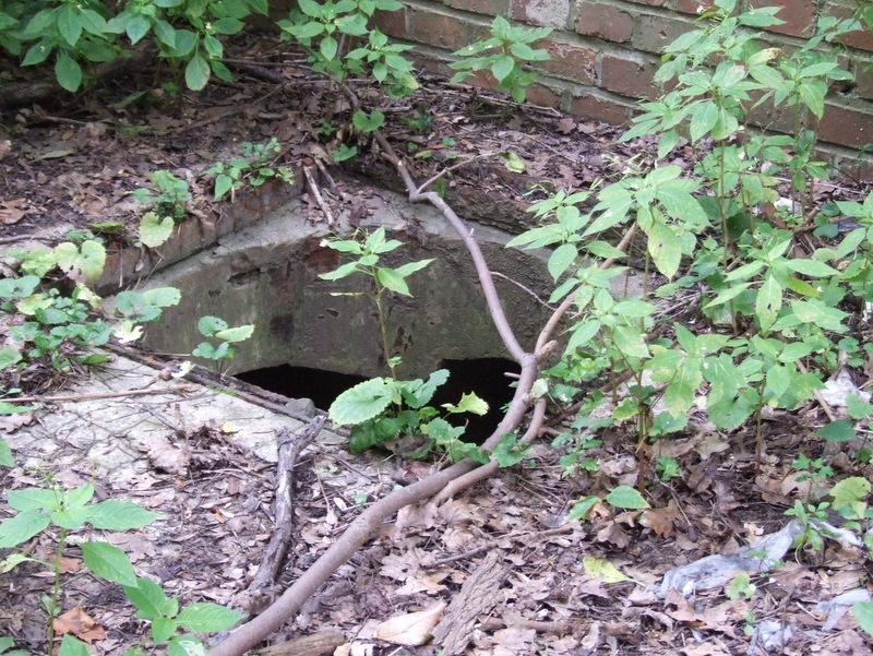 Aneta Wyrwas i Adam Tarkowski