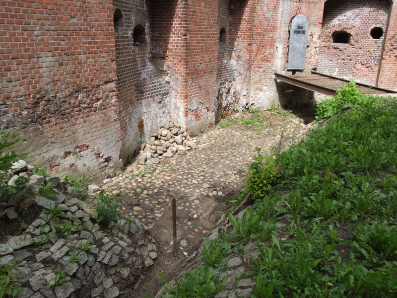 Aneta Wyrwas i Adam Tarkowski