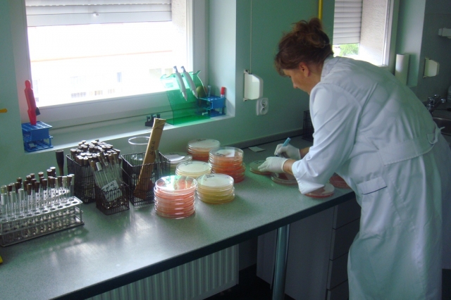 Sanepid Konin - PSSE Konin