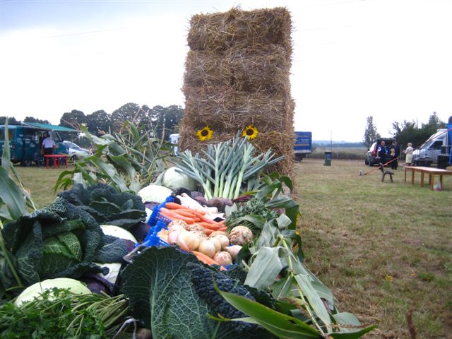 dożynki Poznań 2012 - Anna Skoczek