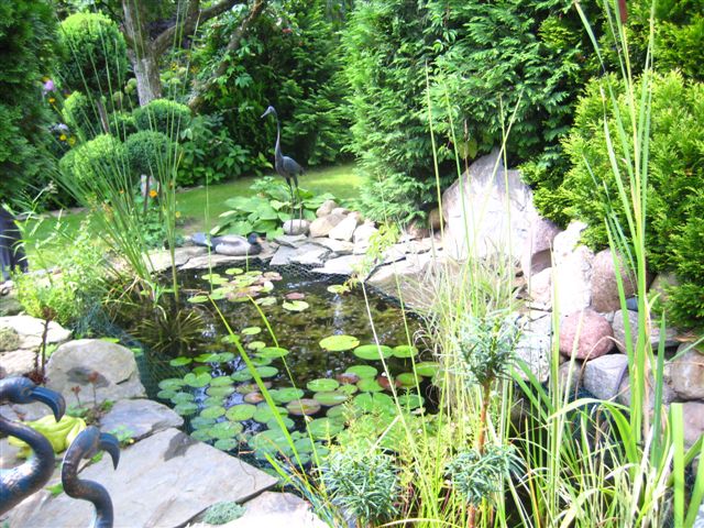 Działka, ogródek, Sypniewo - Anna Skoczek