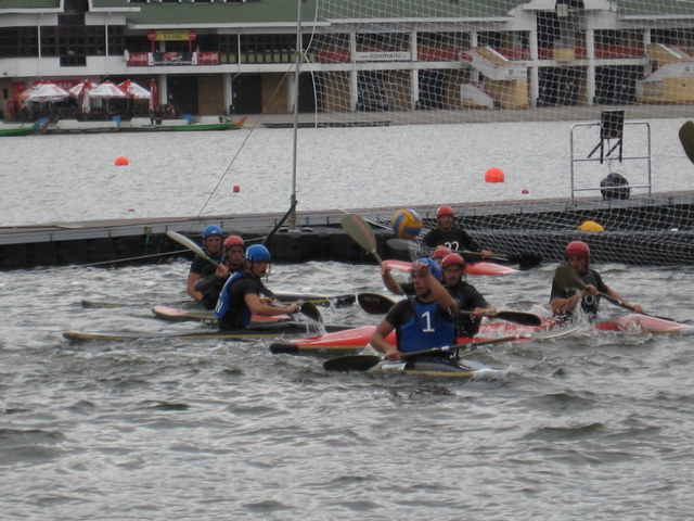 Małgorzata Piechota