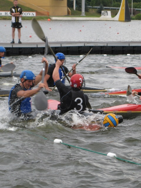 Małgorzata Piechota