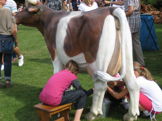 Małgorzata Piechota