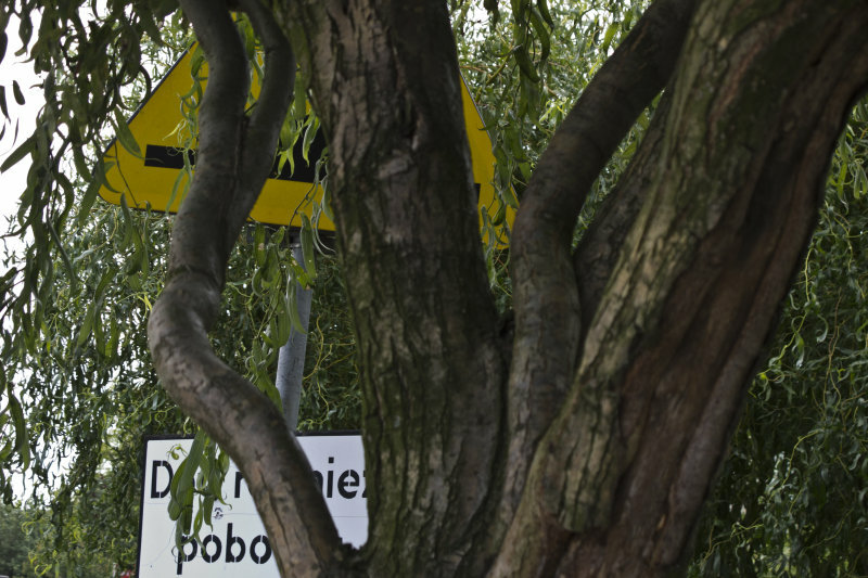 znak drogowy niewidoczny - TomFoto