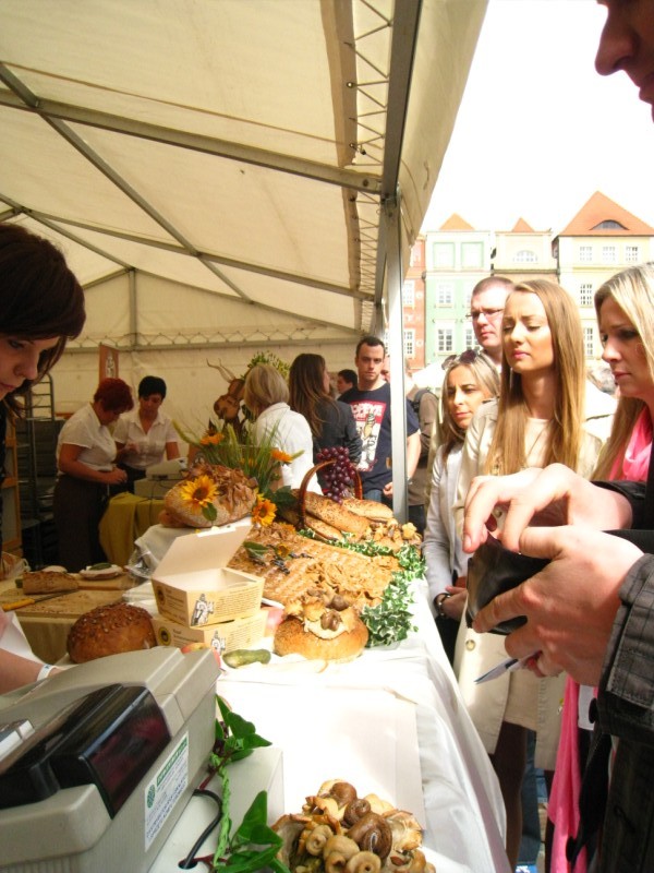 Agnieszka Maciejewska