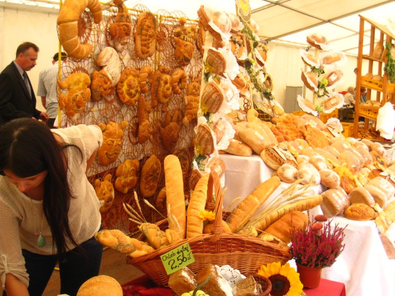 Agnieszka Maciejewska