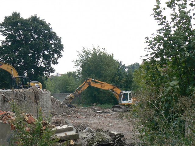 Miranda w Turku - sprzątanie terenu - Iwona Krzyżak