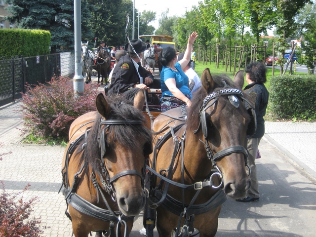 Wojciech Chmielewski