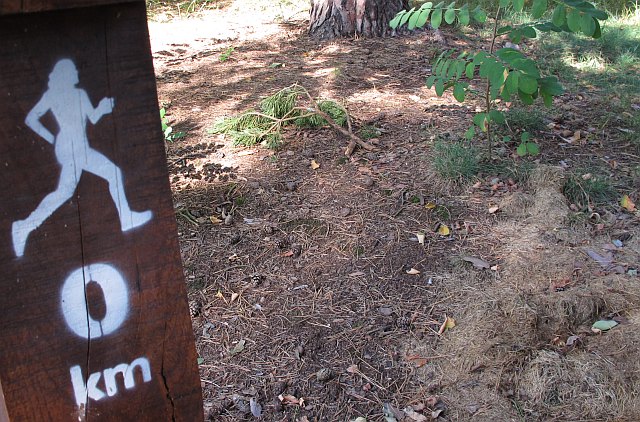 bieganie szlak 1 - TomFoto