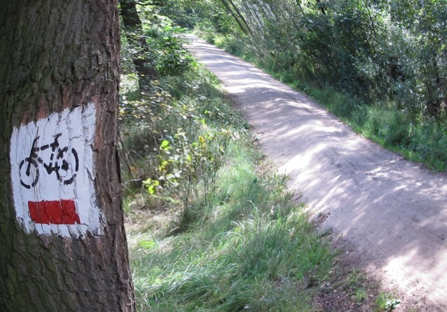 las ścieżka rowerowa znak - TomFoto