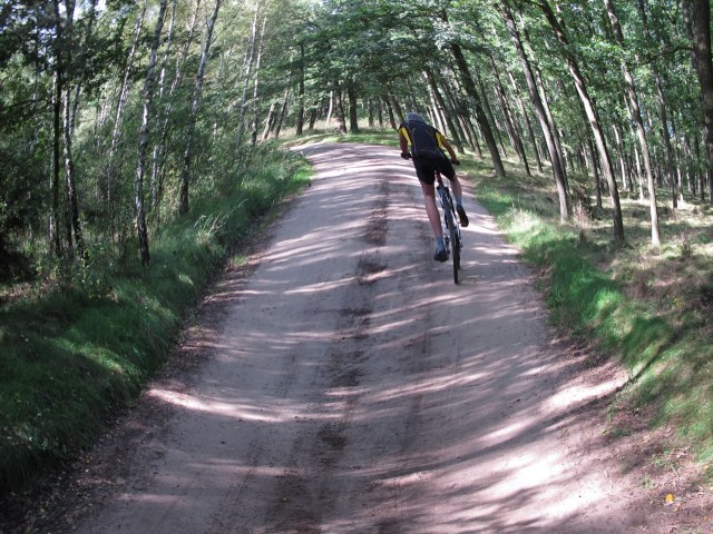 rowrzysta las - TomFoto