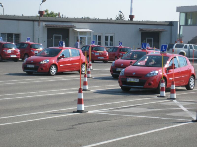 word nauka jazdy elki - Jacek Butlewski