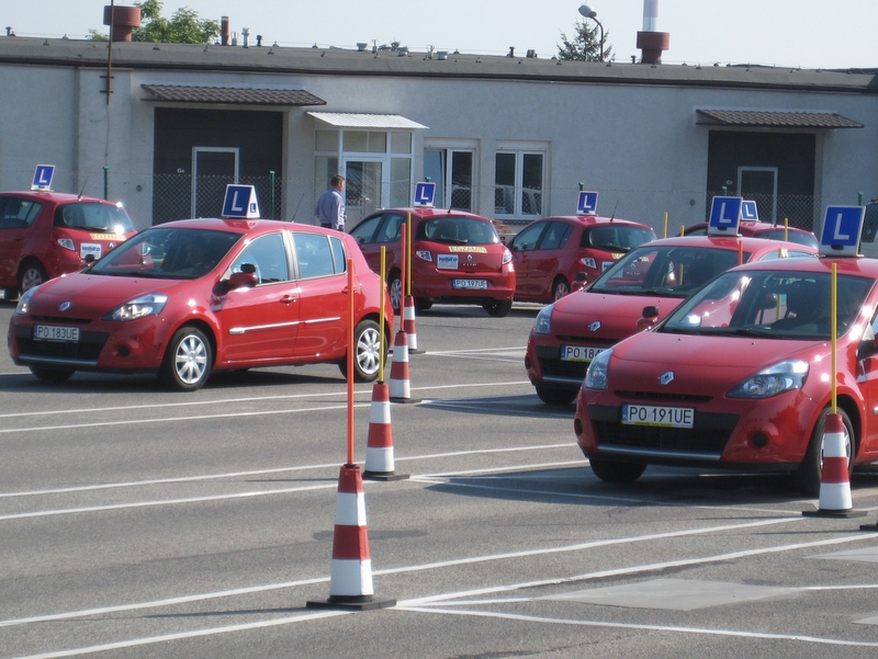 Nauka jazdy, elki, pachołki - Jacek Butlewski