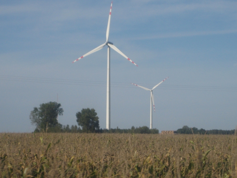 Wiatraki na polu - Margonin - Wiesława Pinkowska