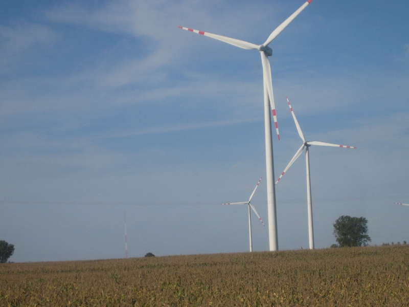 Wiatraki na polu - Margonin - Wiesława Pinkowska