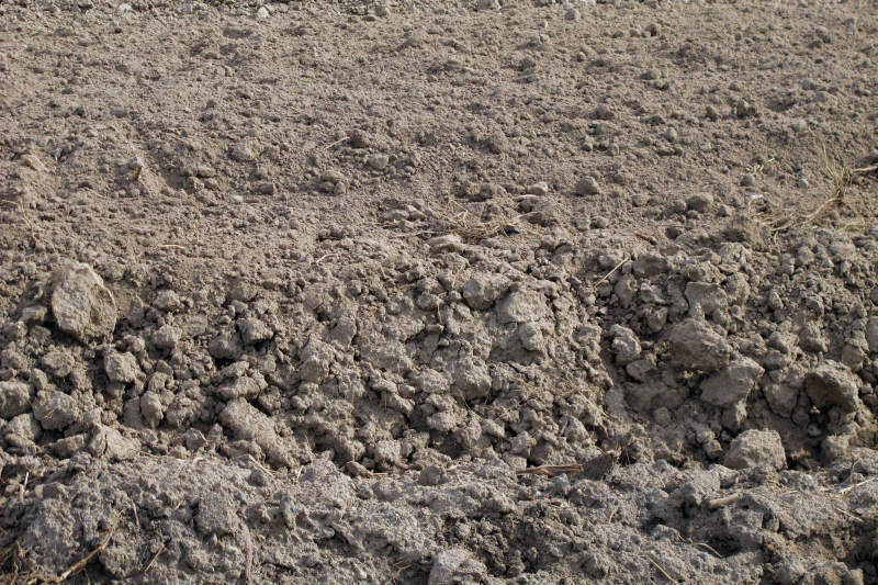 ziemia orna - TomFoto