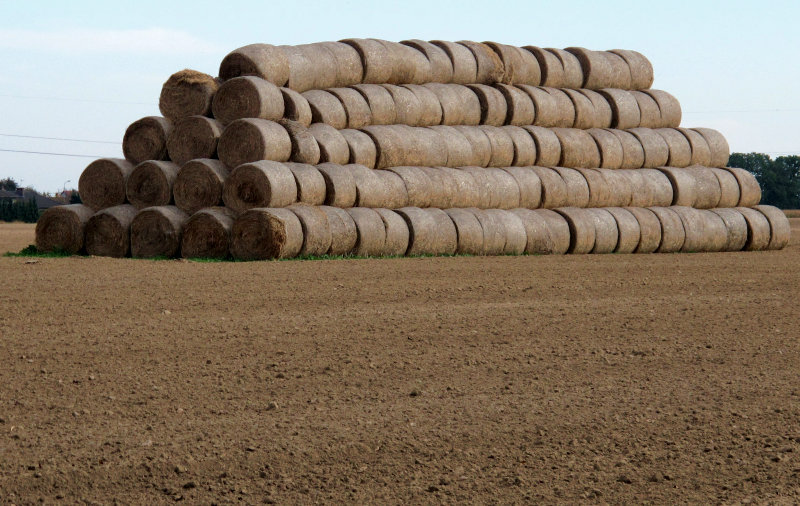 słoma baloty pole 2pg - TomFoto