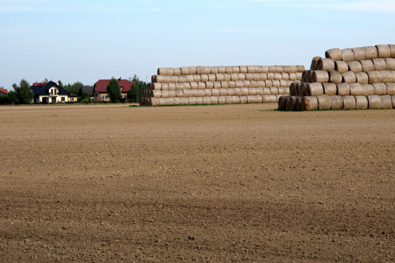 słoma baloty pole 1 - TomFoto