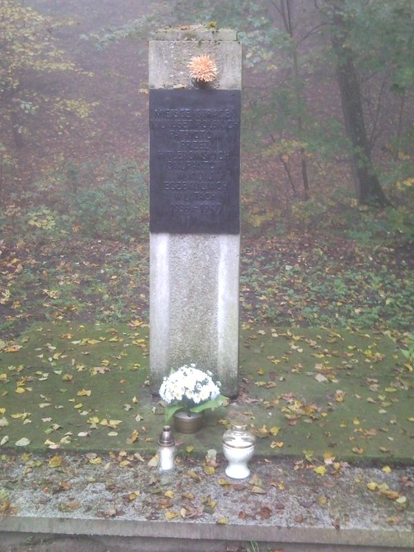 Zapal Znicz Pamięci - Dębina Poznań