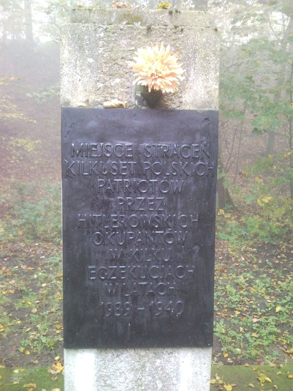 Zapal Znicz Pamięci - Dębina Poznań