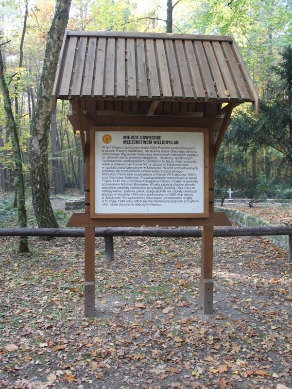 Dębienko k. Strzeszyna