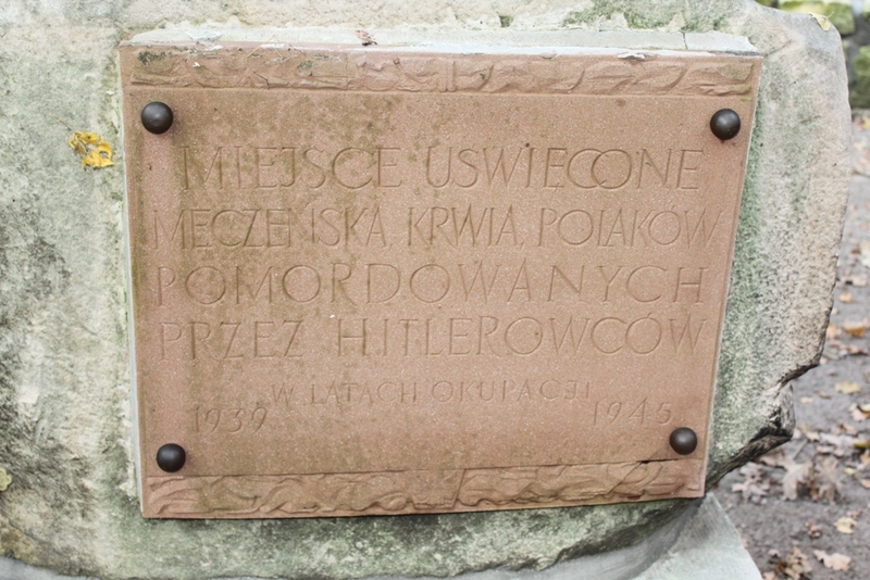 Dębienko k. Strzeszyna