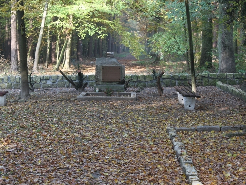 Dębienko k. Strzeszyna