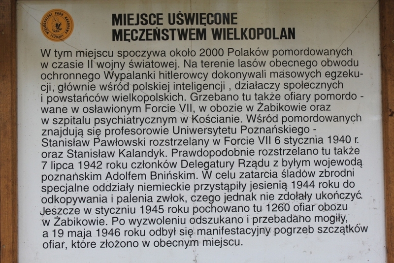 Dębienko k. Strzeszyna