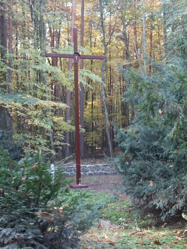 Dębienko k. Strzeszyna