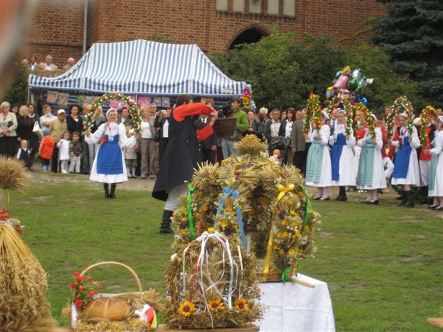 Aleksanda Włodarczyk