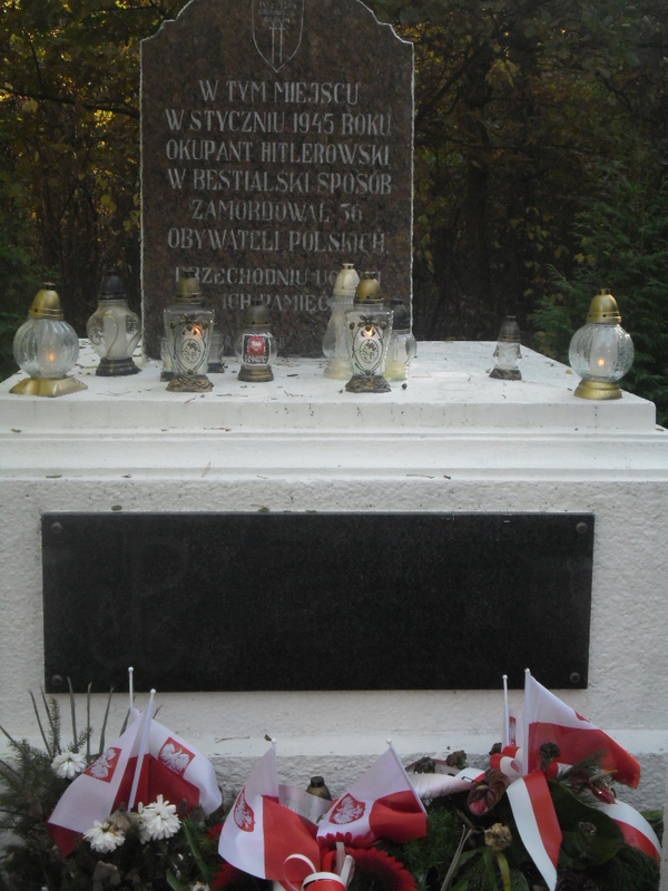 Lasy Skarszewskie k. Kalisza