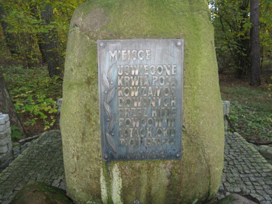 Zapal Znicz Pamięci 2012 - Wągrowiec