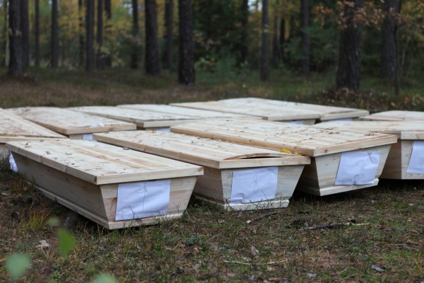 Odnalezione trumny - policja - KWP w Poznaniu