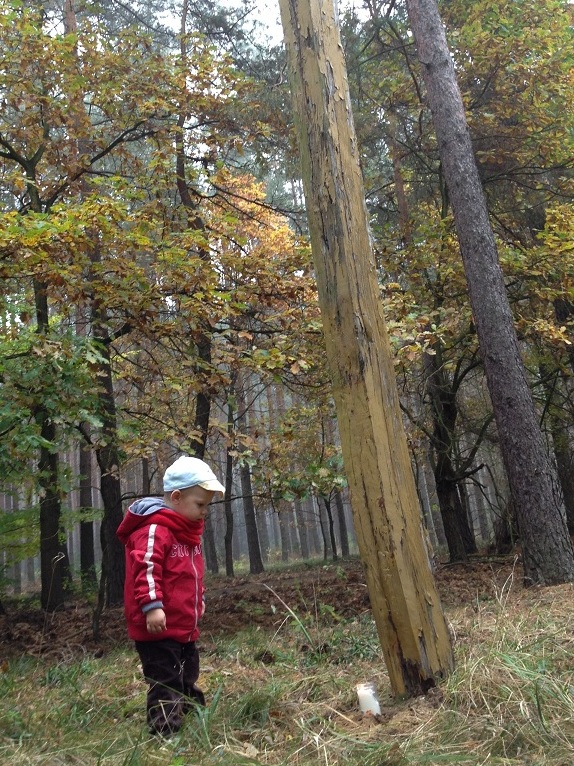 Miejsca pamięci w okolicach Rożnowic