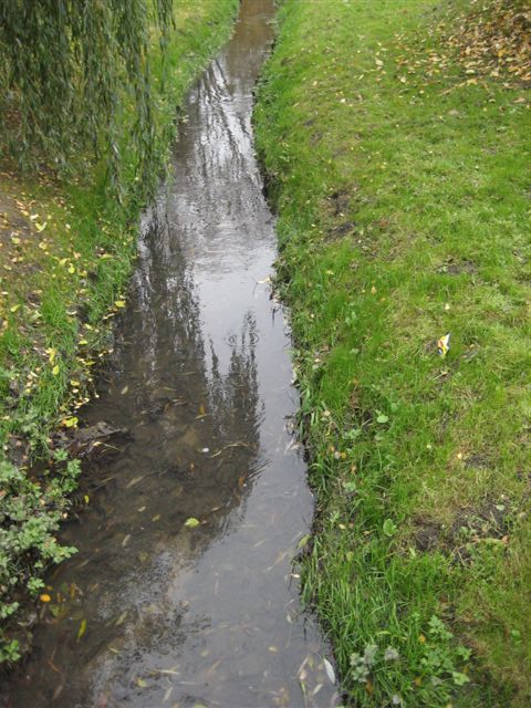 Krępica - zanieczyszczana rzeczka - Danuta Synkiewicz