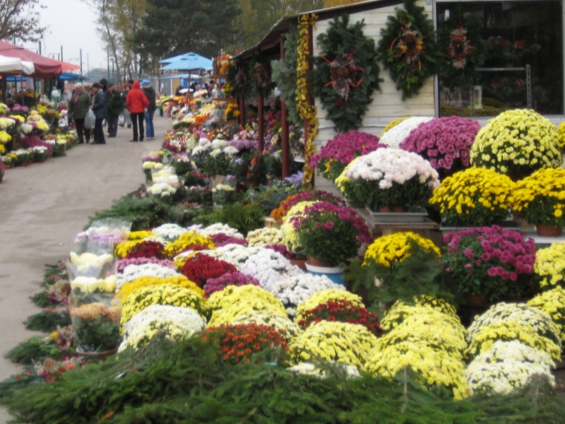 Kwiaty przed cmentarzem - Archiwum Radia Merkury