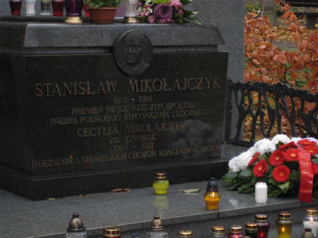 Cmentarz Zasłużonych Wielkopolan - 1listopada - Magda Konieczna
