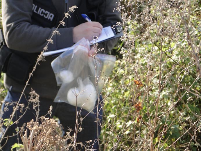 Kokaina - narkotyki - KWP w Poznaniu