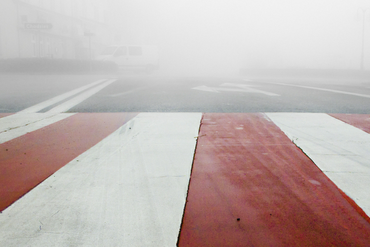 pasy-zebra 1 - TomFoto