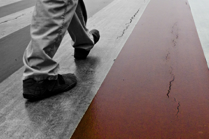 pasy-zebra 2 - TomFoto