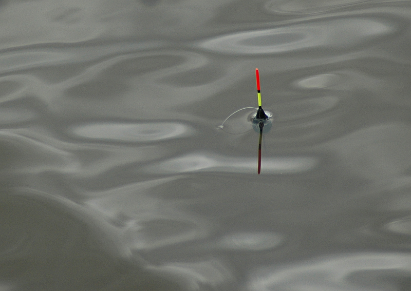 wędkarstwo spławik 1 - TomFoto