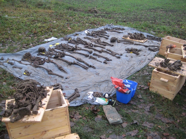 Kosynierzy z folwarku - ekshumacja - Rafał Regulski