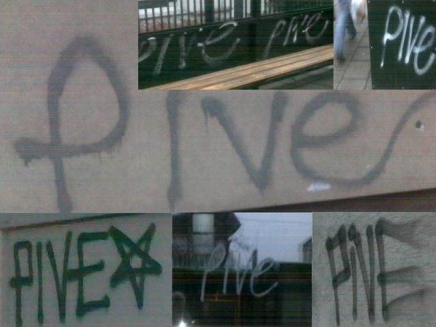 pive tagi  2 - TomFoto