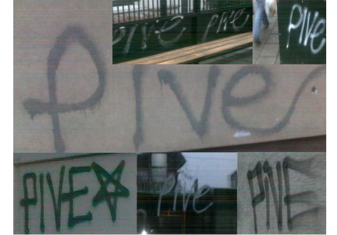 pive tagi 1 - TomFoto