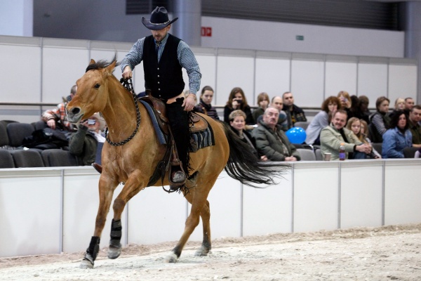 Cavaliada 2012 - MTP