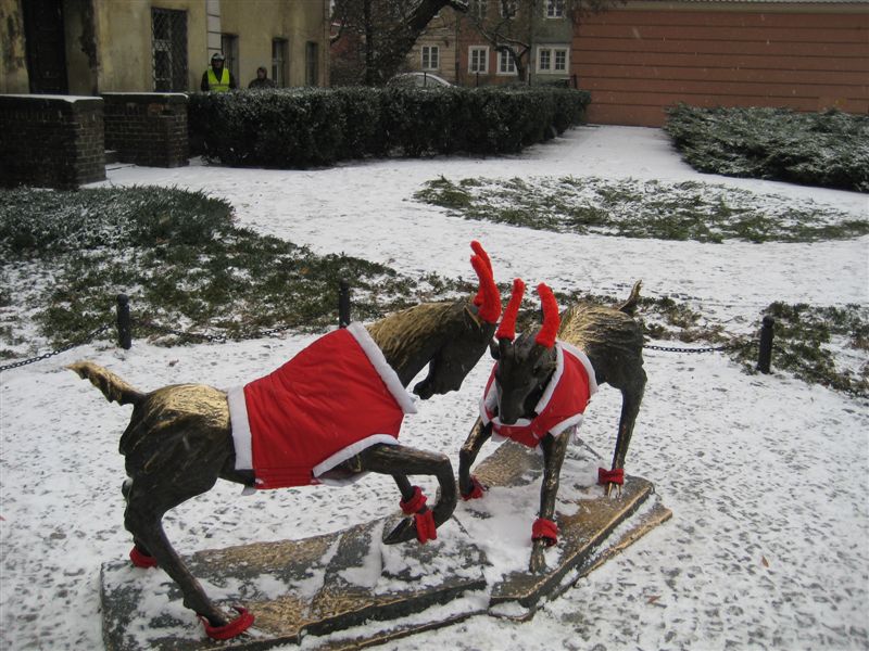 Koziołki - świąteczne ubranka - Adam Michalkiewicz