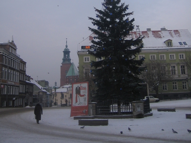 Choinki na rynku w Gnieźnie - Rafał Muniak